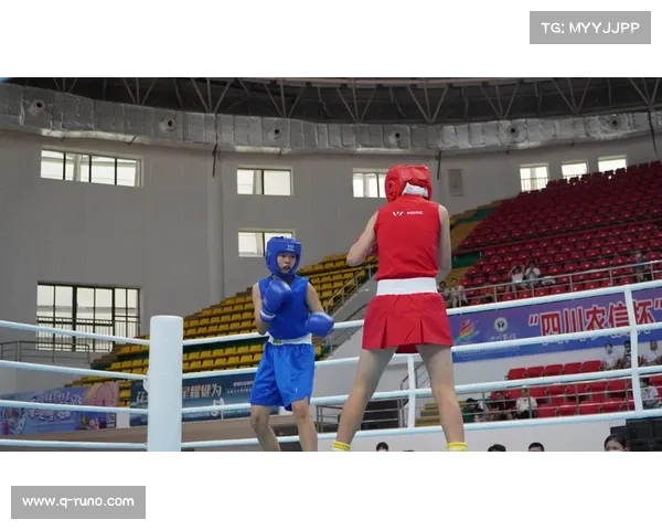 拳击赛事全解析职业业余比赛类型盘点 拳击赛事全解析职业业余比赛类型盘点